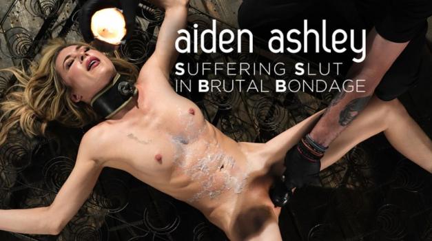 [DeviceBondage] Aiden Ashey (Suffering Slut in Brutal Bondage / 05.23.2023)