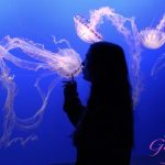 [ATKGirlfriends] Summer Renee (Norcal 5 / 12.12.2025)